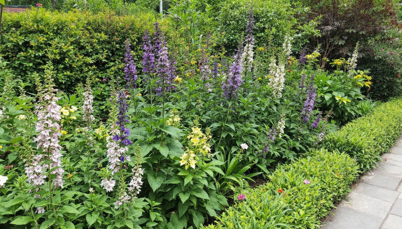 Comment les jardins écologiques augmentent la valeur des biens immobiliers ?